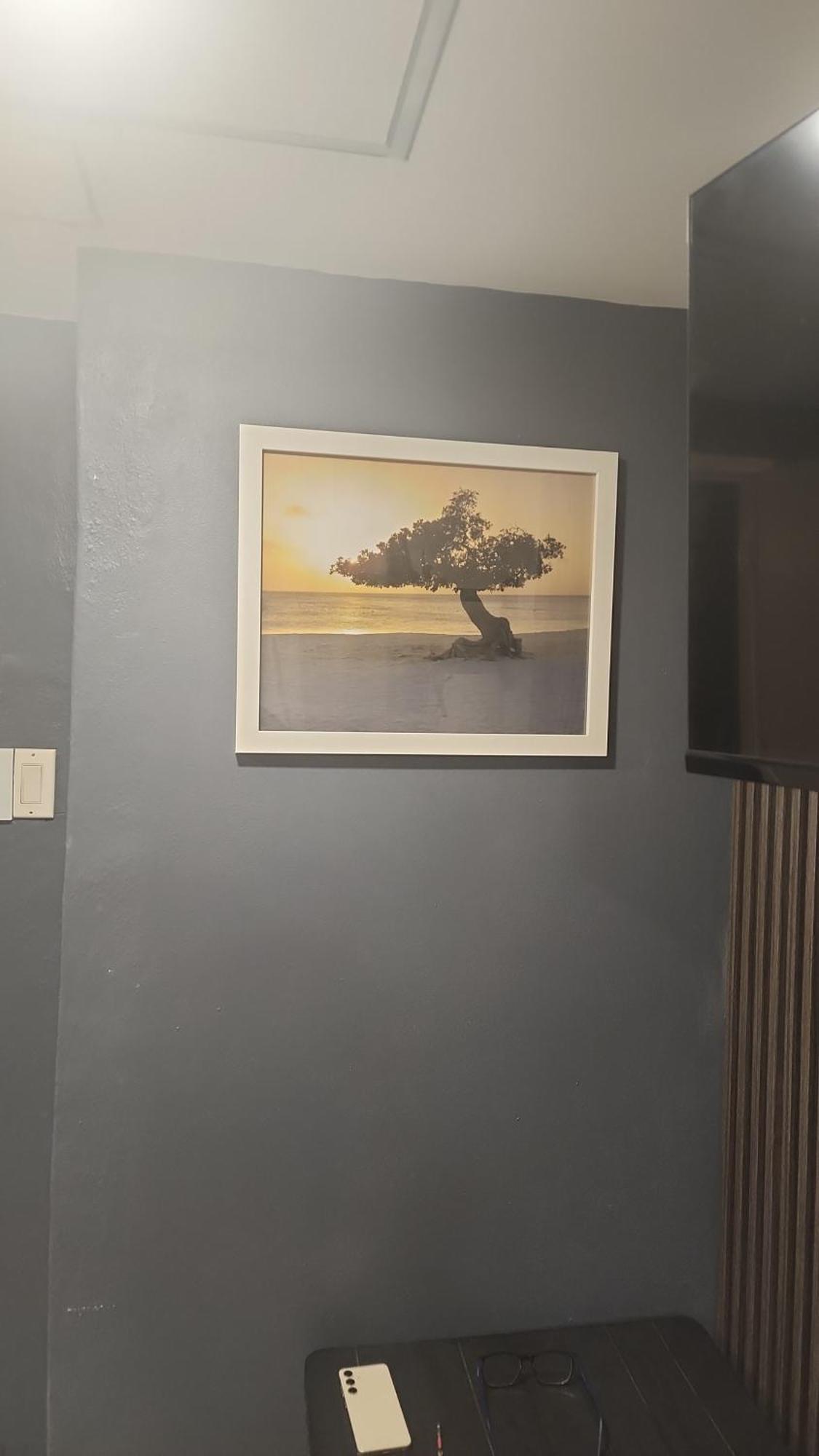 A1 Apartments Aruba Oranjestad Cameră foto